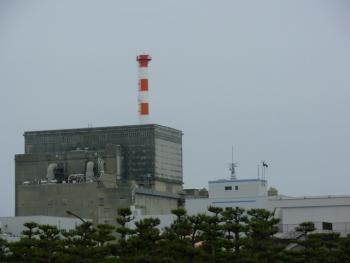 Reactor refrigerado por gas